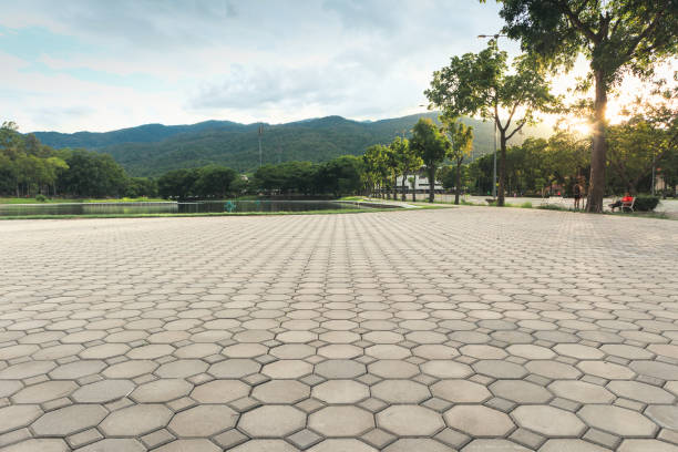 Best Driveway Pavers Near Me  in Faison, NC